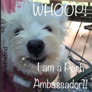 I am Posh Ambassador!!